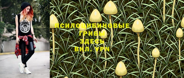 мет Богданович