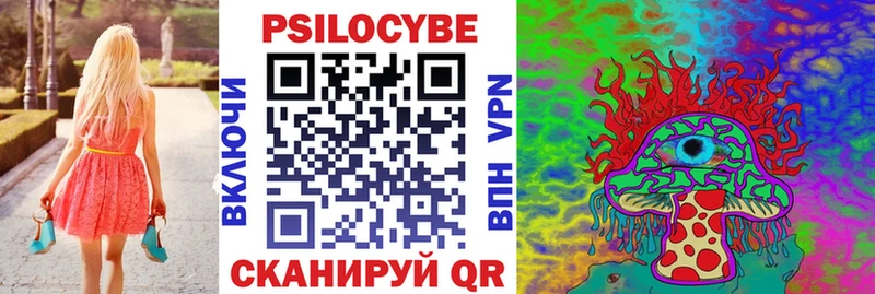 Галлюциногенные грибы Psilocybe  Купить где  Новочебоксарск 