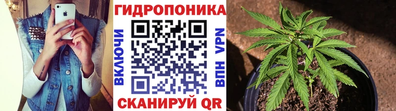 Канабис планчик Новочебоксарск